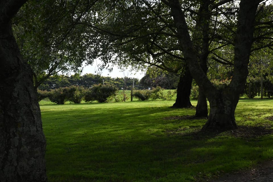 Neerim Country Cottages Campground/ 
RV Resort in Neerim South