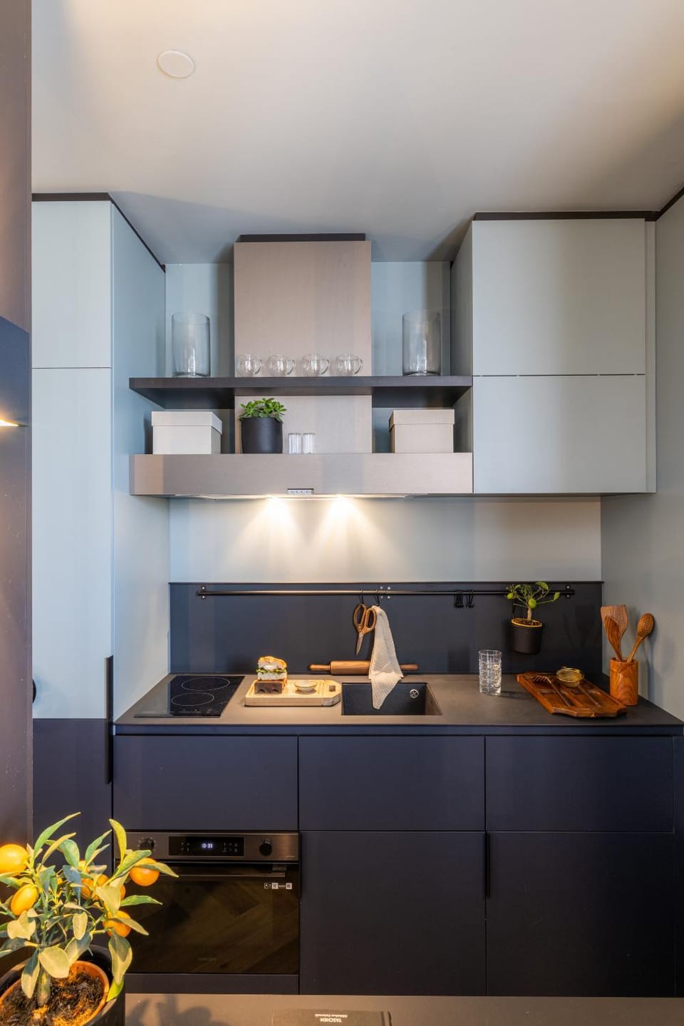 Coffee/tea facilities, Kitchen or kitchenette, pet friendly, stove, kitchen