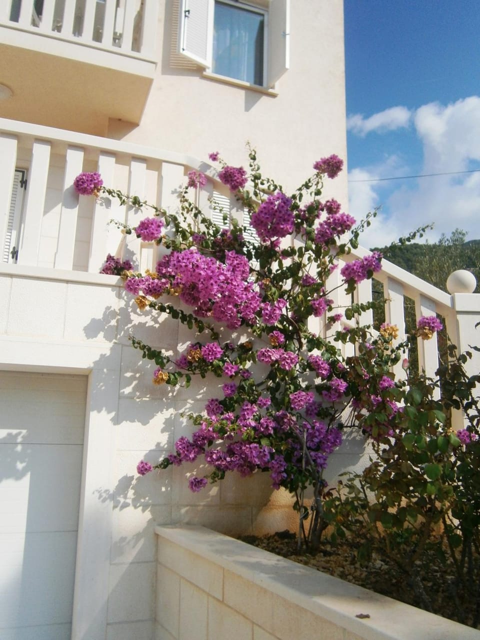 Apartments Vila AS Apartment in Bol