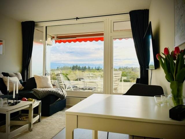 Natural landscape, Seating area