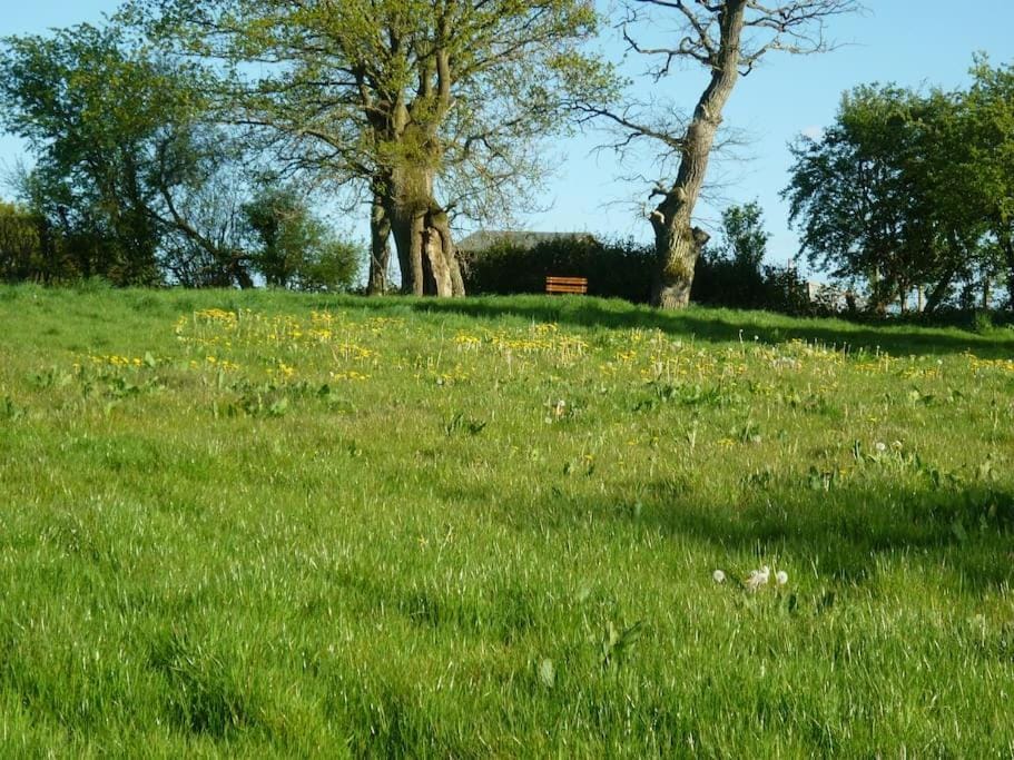 Natural landscape
