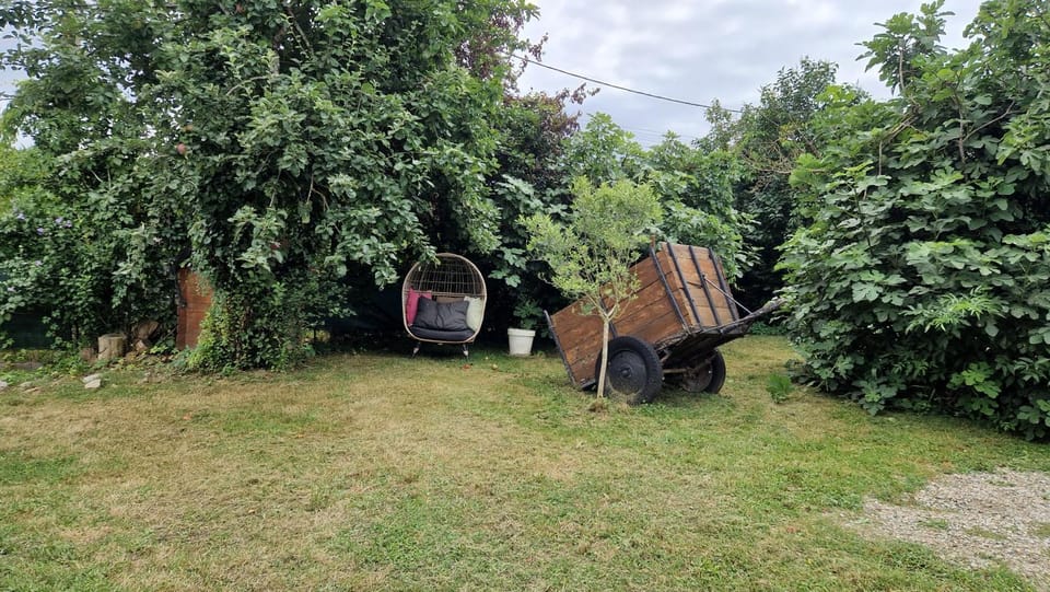 Garden, Garden view