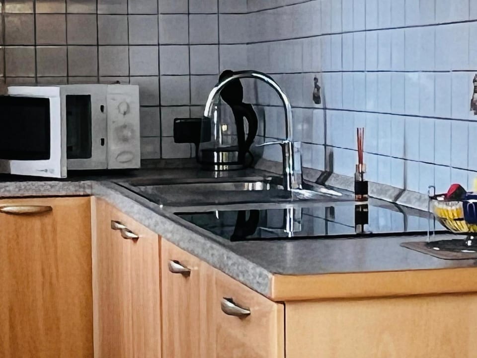 Kitchen or kitchenette, dishwasher, stove