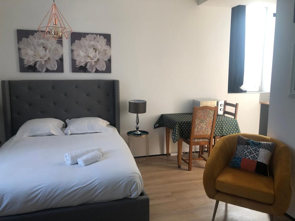 Prestige Sainte-Cécile 2- Studio chic, calme et design Apartment in Auvergne-Rhône-Alpes