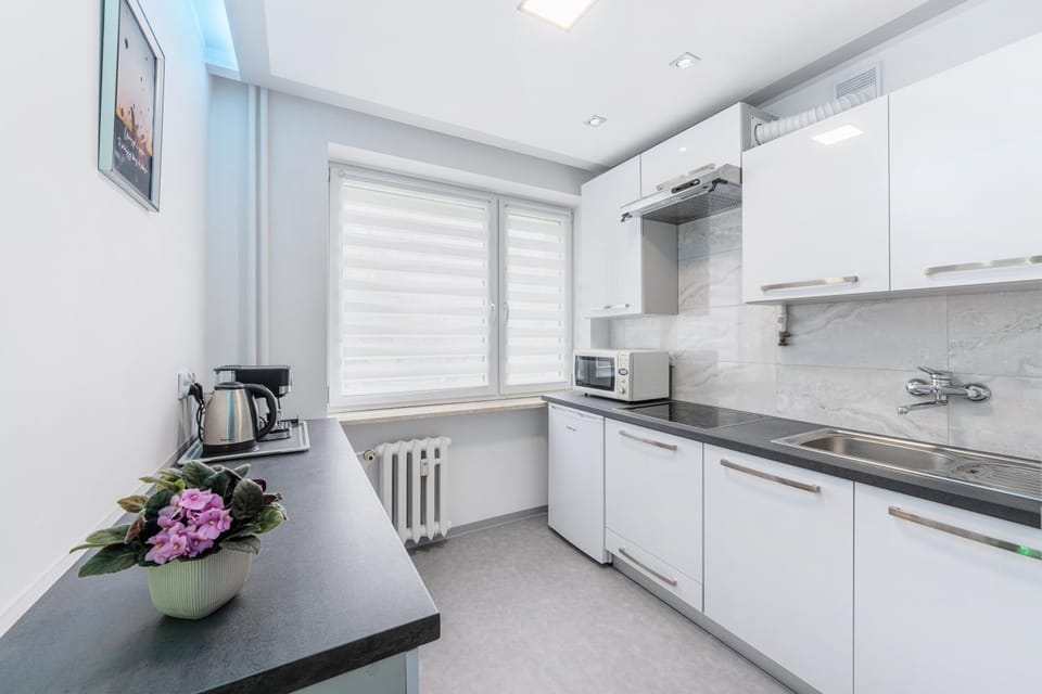 Coffee/tea facilities, Kitchen or kitchenette, minibar, pet friendly, stove