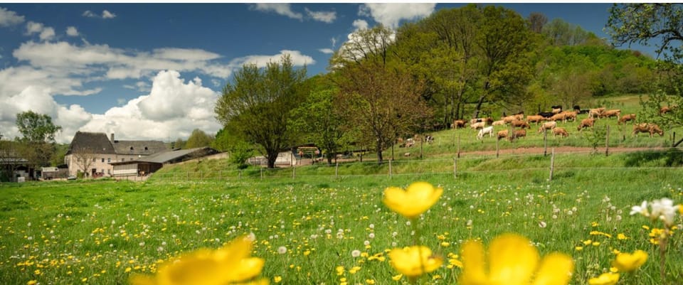 Natural landscape