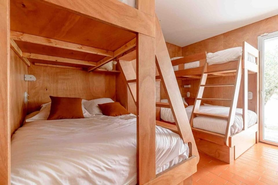 Bed, Photo of the whole room, Bedroom, bunk bed