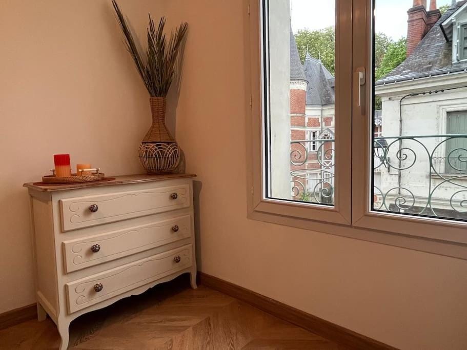 T3 cinéma - Centre historique, bord de Loire Apartment in Tours