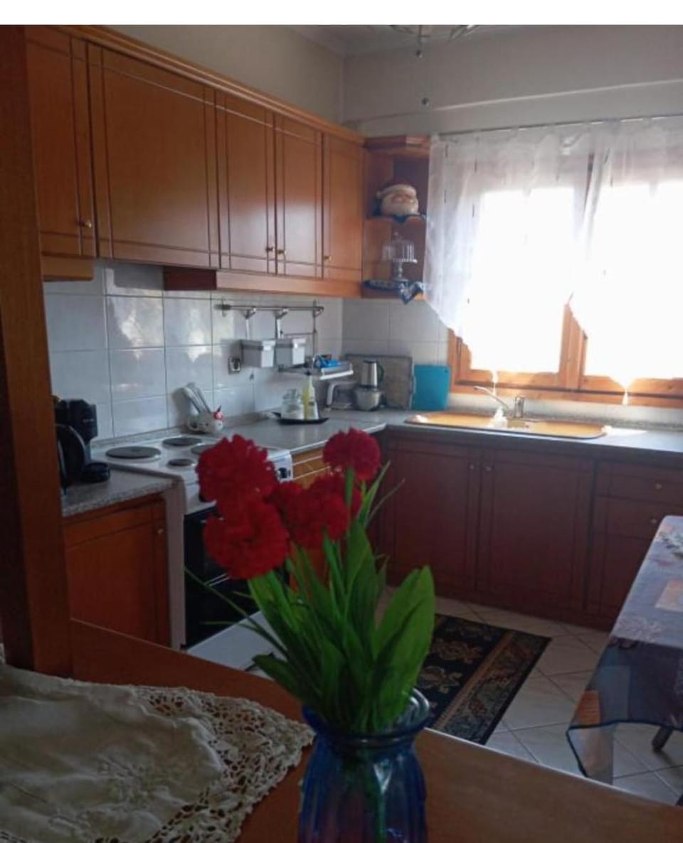 Aggela House Apartment in Halkidiki