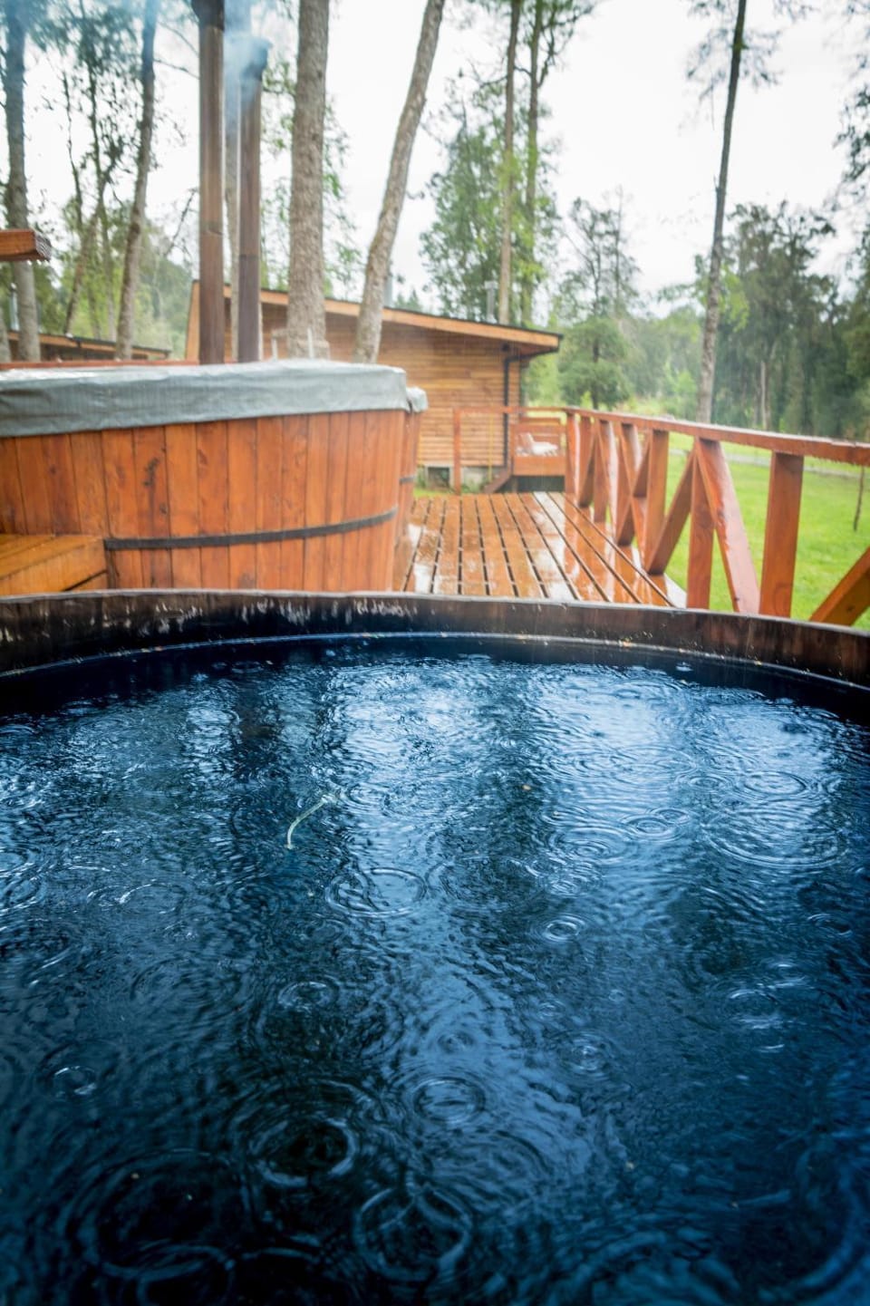 Los Lingues Lodge Nature lodge in Los Lagos, Chile