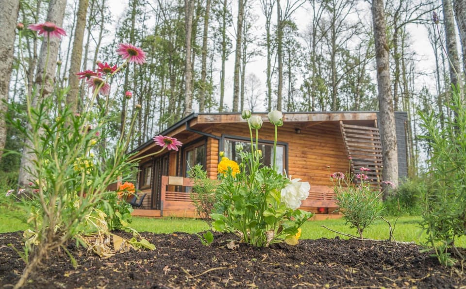 Los Lingues Lodge Nature lodge in Los Lagos, Chile