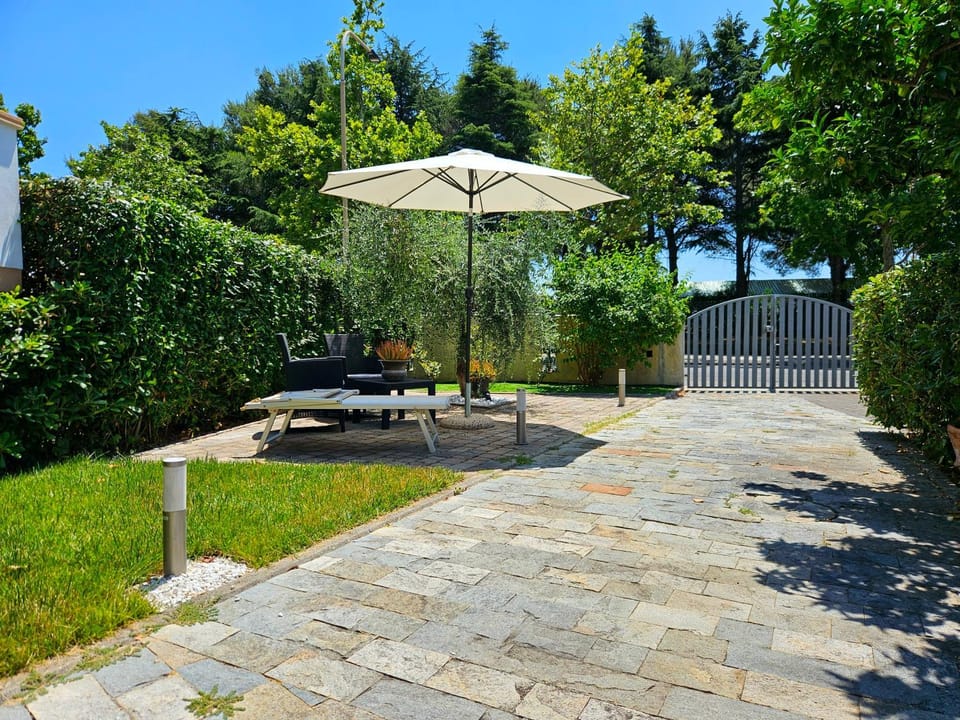 Patio, Garden, Garden view, sunbed