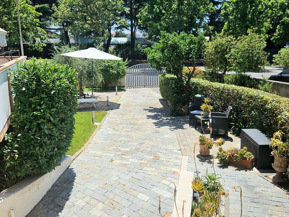 Patio, Garden, Garden view