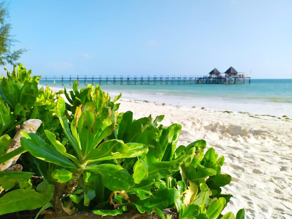 Beach, Sea view