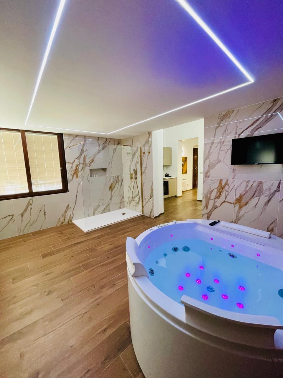 Shower, Hot Tub, TV and multimedia, Bath