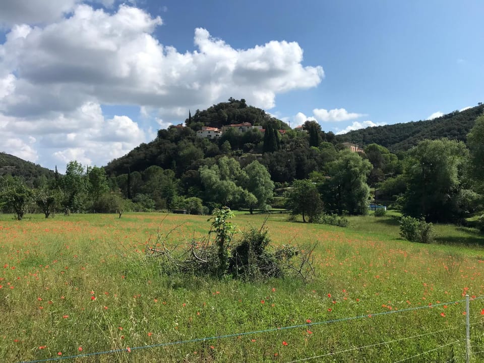 Hiking