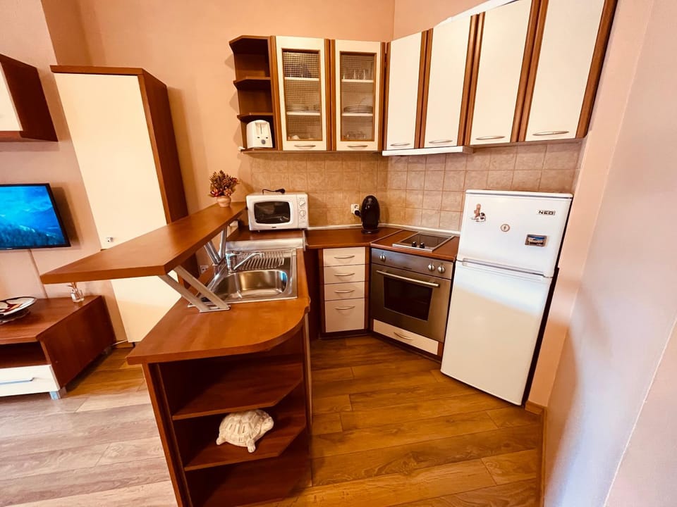 Marina Apartment - Mountain View Apartment in Bansko