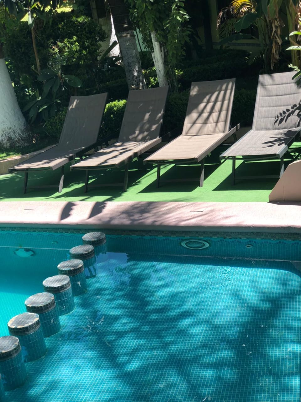 Garden, Swimming pool, Swimming pool