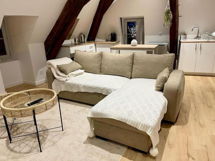 Appartement cosy centre ville Apartment in Centre-Val de Loire