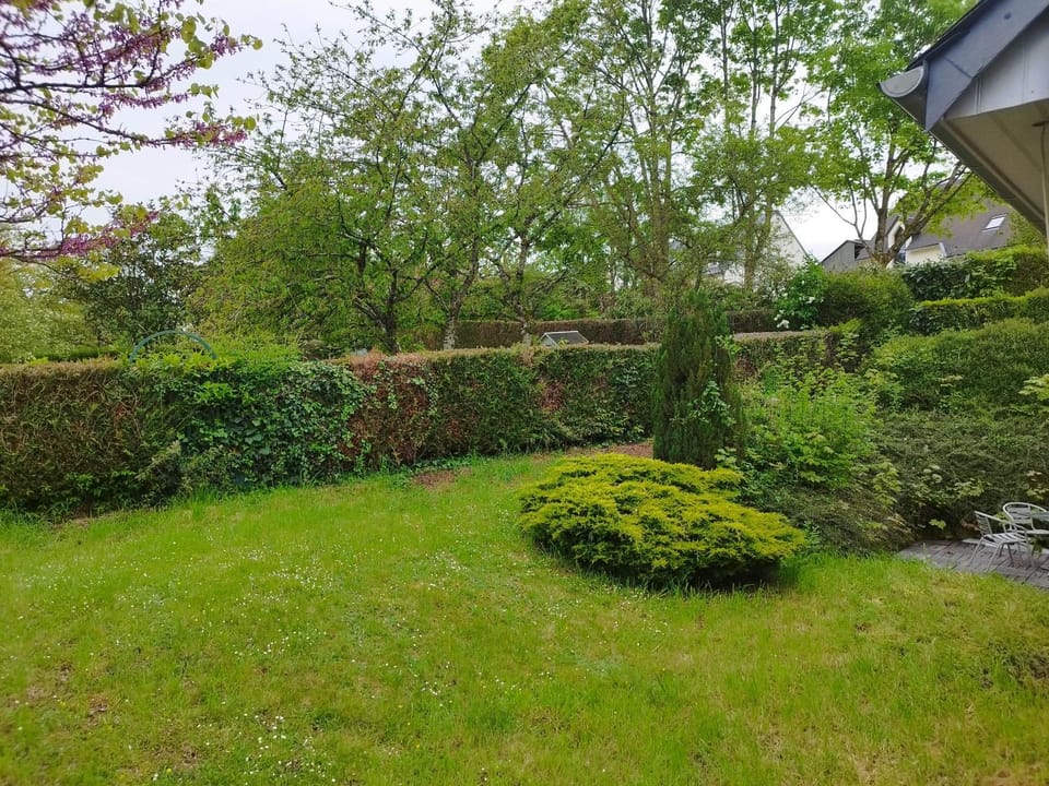 Garden, Garden, Garden view