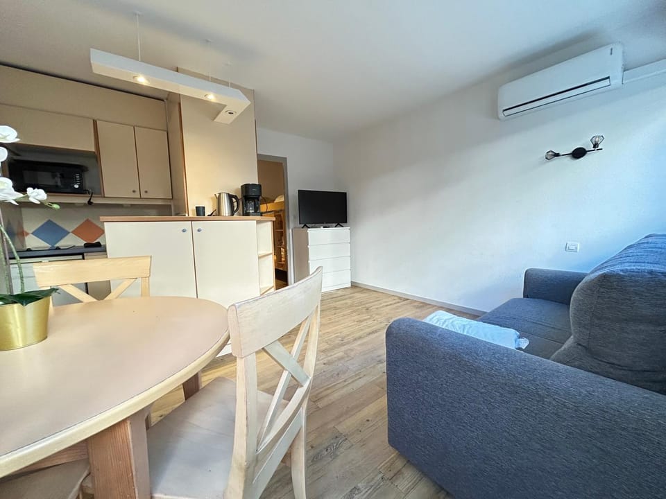 TV and multimedia, Kitchen or kitchenette, Living room, Seating area, Dining area, pet friendly, air conditioner