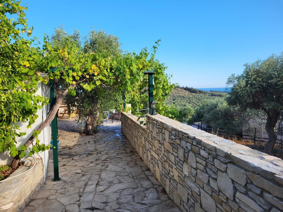 Spring, Garden view, Sea view