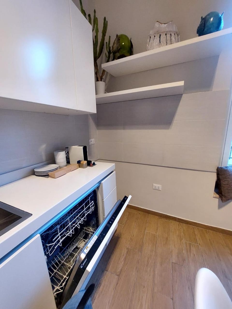 Kitchen or kitchenette, dishwasher, minibar, oven, stove
