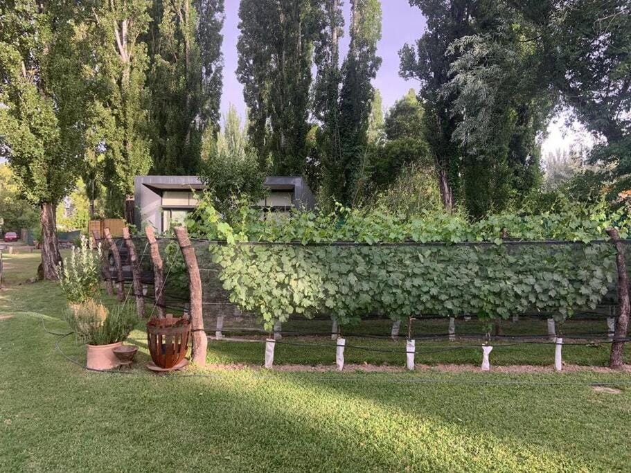 Natural landscape, Garden view