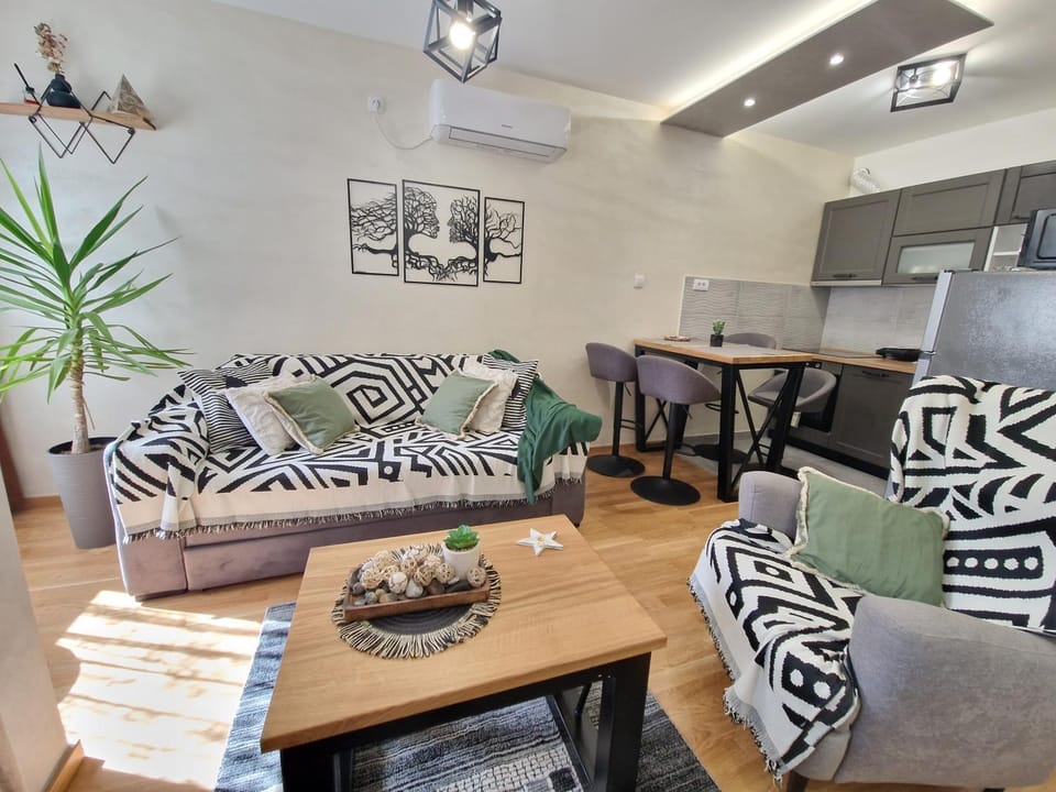 Apartmani Djuric Grey Apartment in Vojvodina