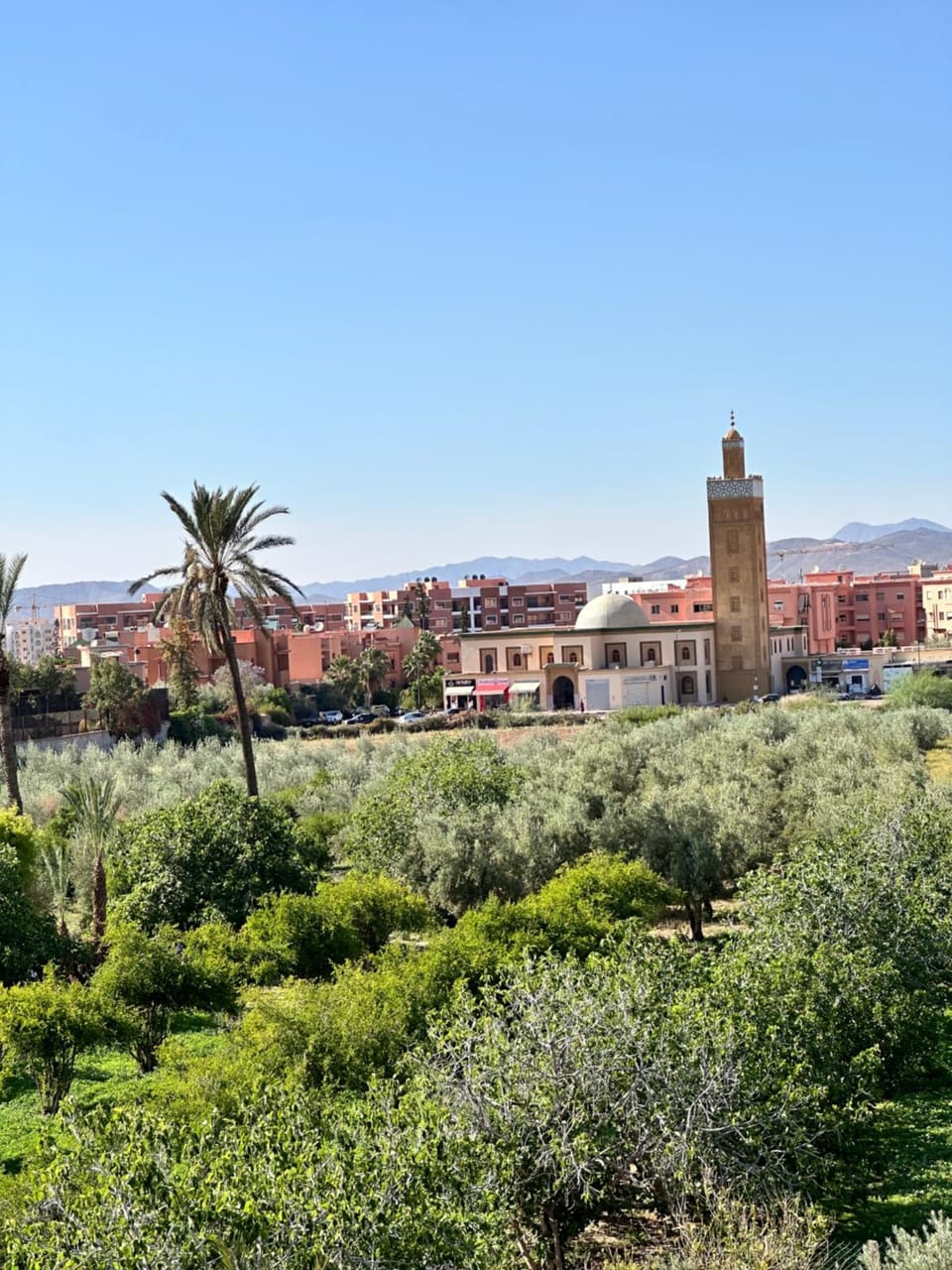 Appartement Zazat Apartment in Marrakesh