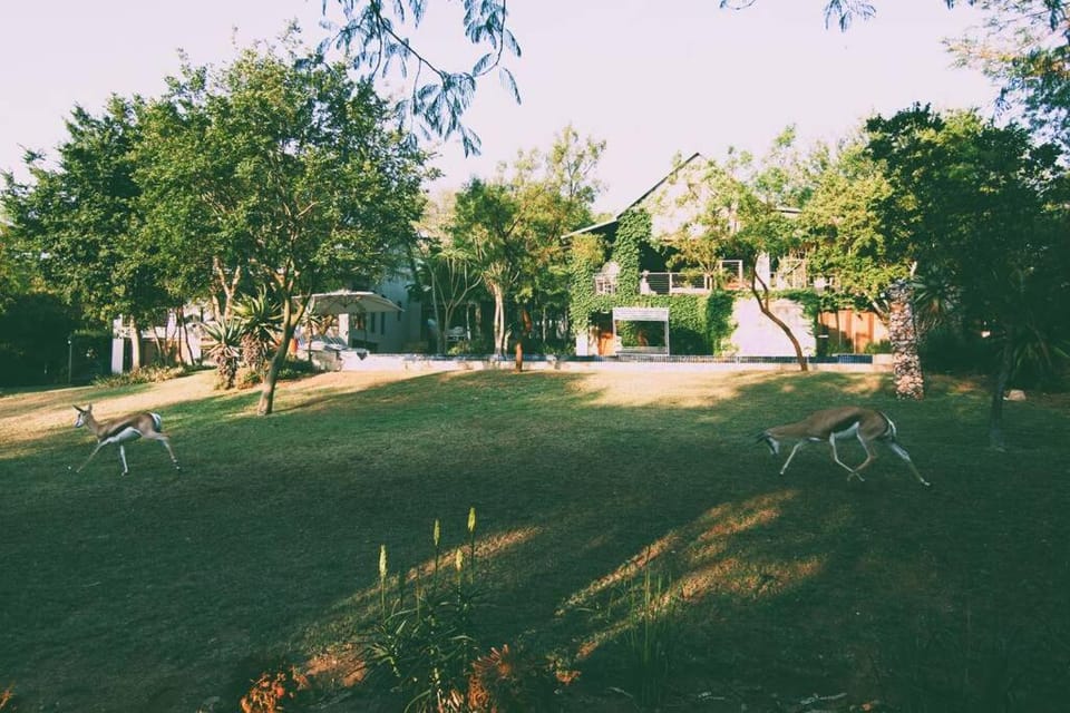 Garden view