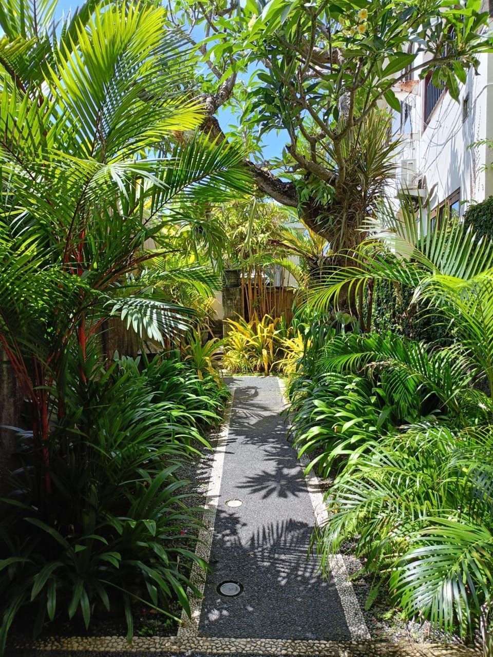 Garden view
