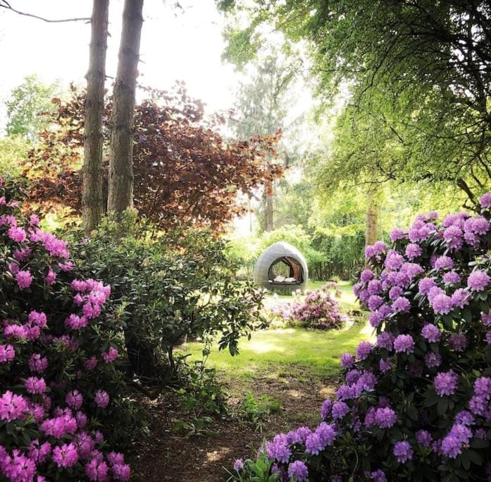 Garden, Garden view
