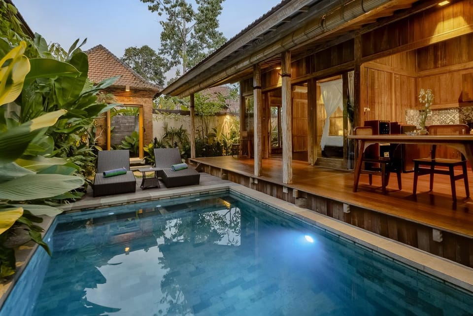Property building, Patio, Day, Natural landscape, Garden, Garden view, Pool view, Swimming pool, sunbed