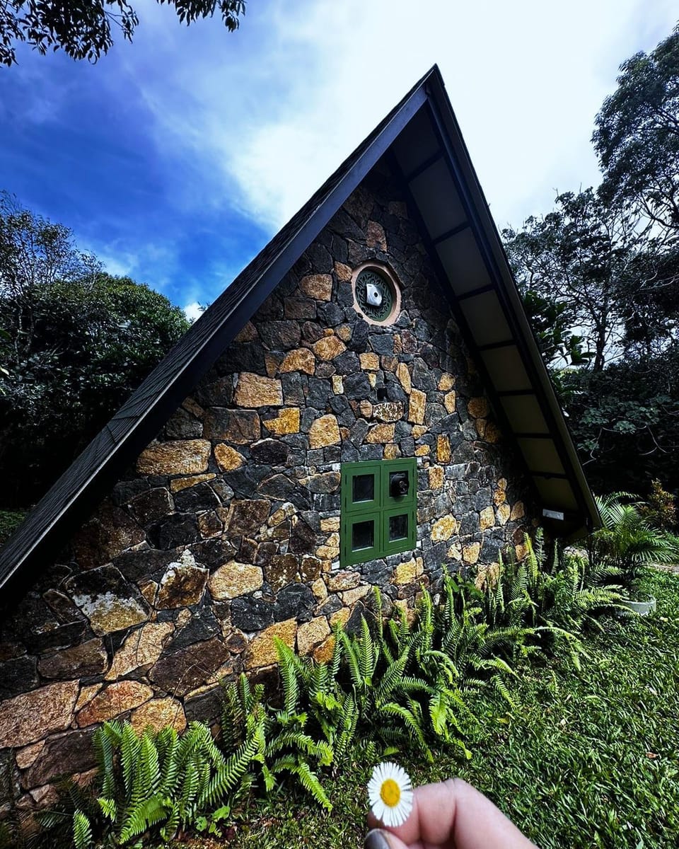 Property building, Spring, Day, Garden, Garden view
