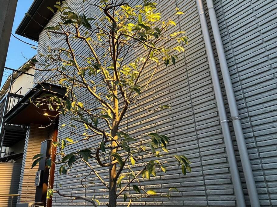 Leaf Village Apartment in Saitama Prefecture
