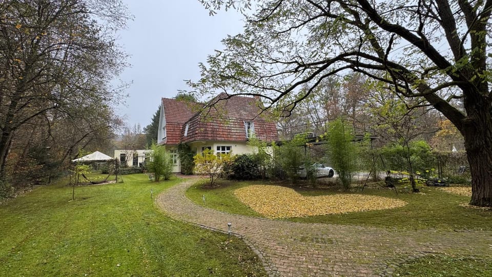 Property building, Natural landscape, Garden, Garden view