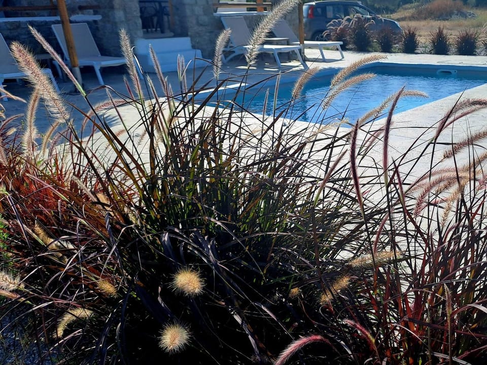 Naxos Beachwalk Villa Plaka Villa in Naxos, Naxos and Lesser Cyclades, Greece