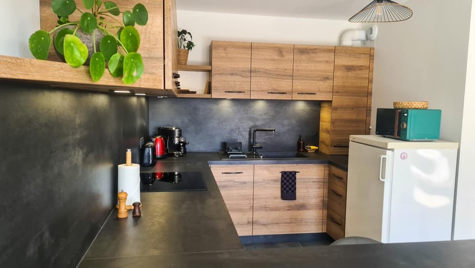 minibar, pet friendly, stove, kitchen