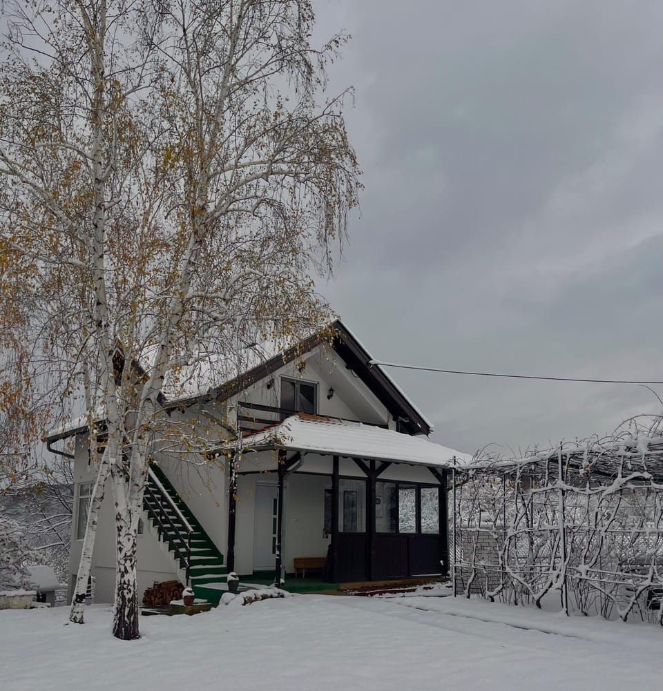 Villa Buena Villa in Serbia
