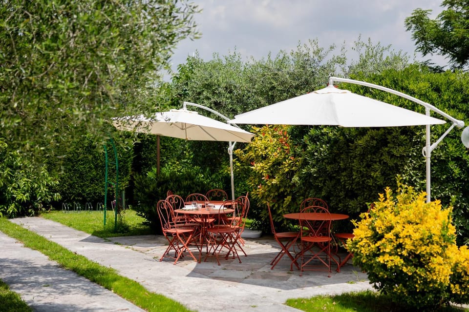 Garden, Dining area