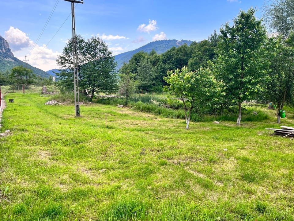 Spring, Natural landscape, Garden view