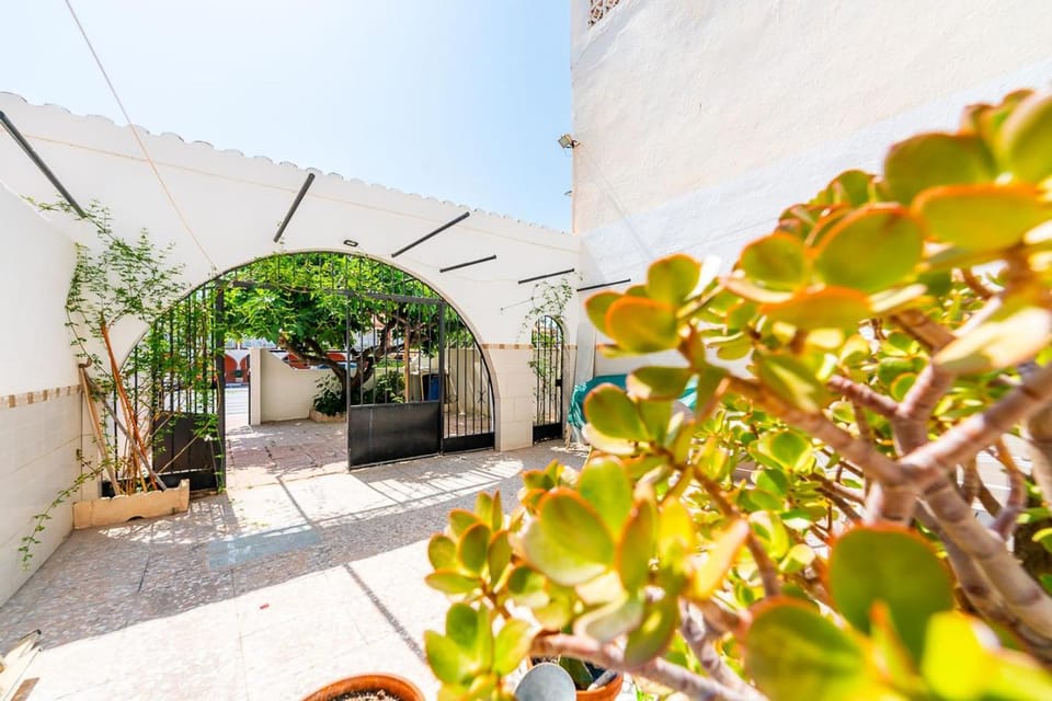 Patio, Garden