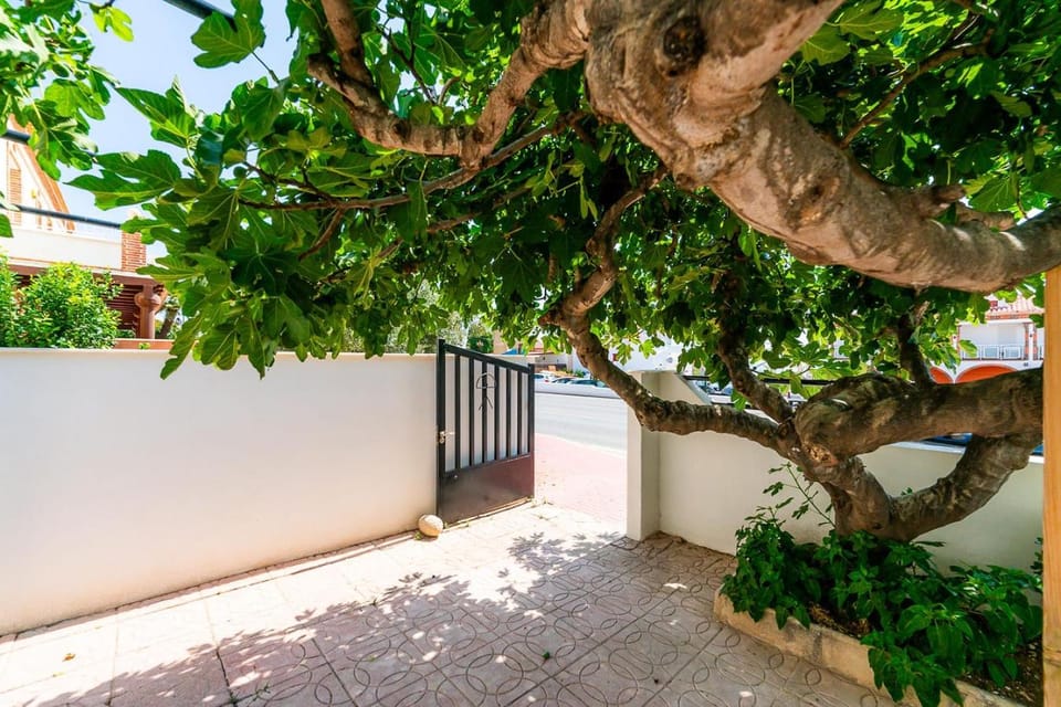 Day, Garden, Garden view