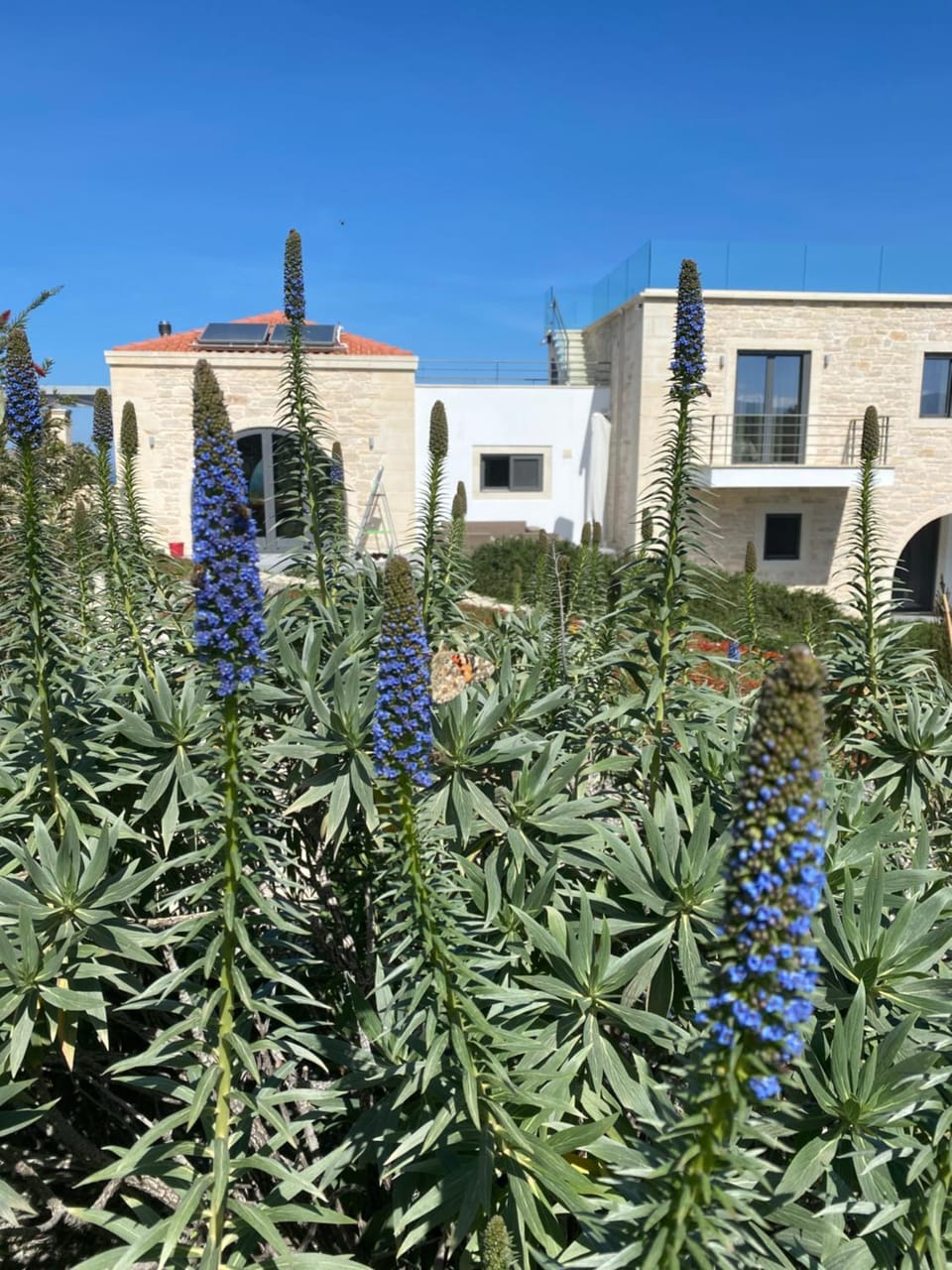 Property building, Garden, Garden view