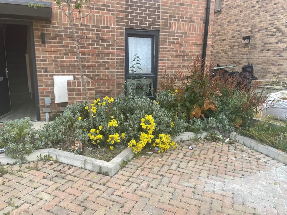 Serene Stay Sanctuary Vacation rental in Romford