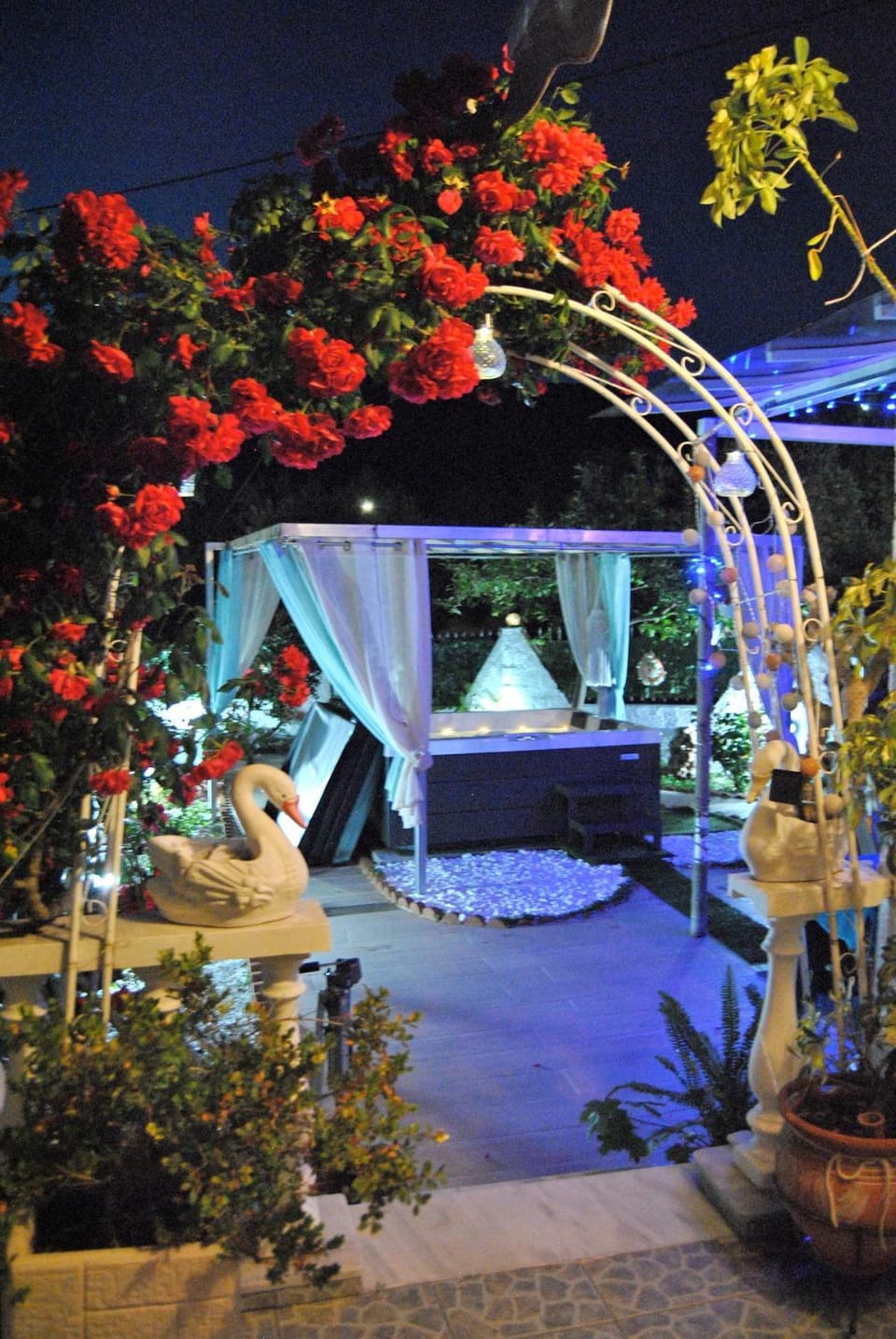 Night, Garden