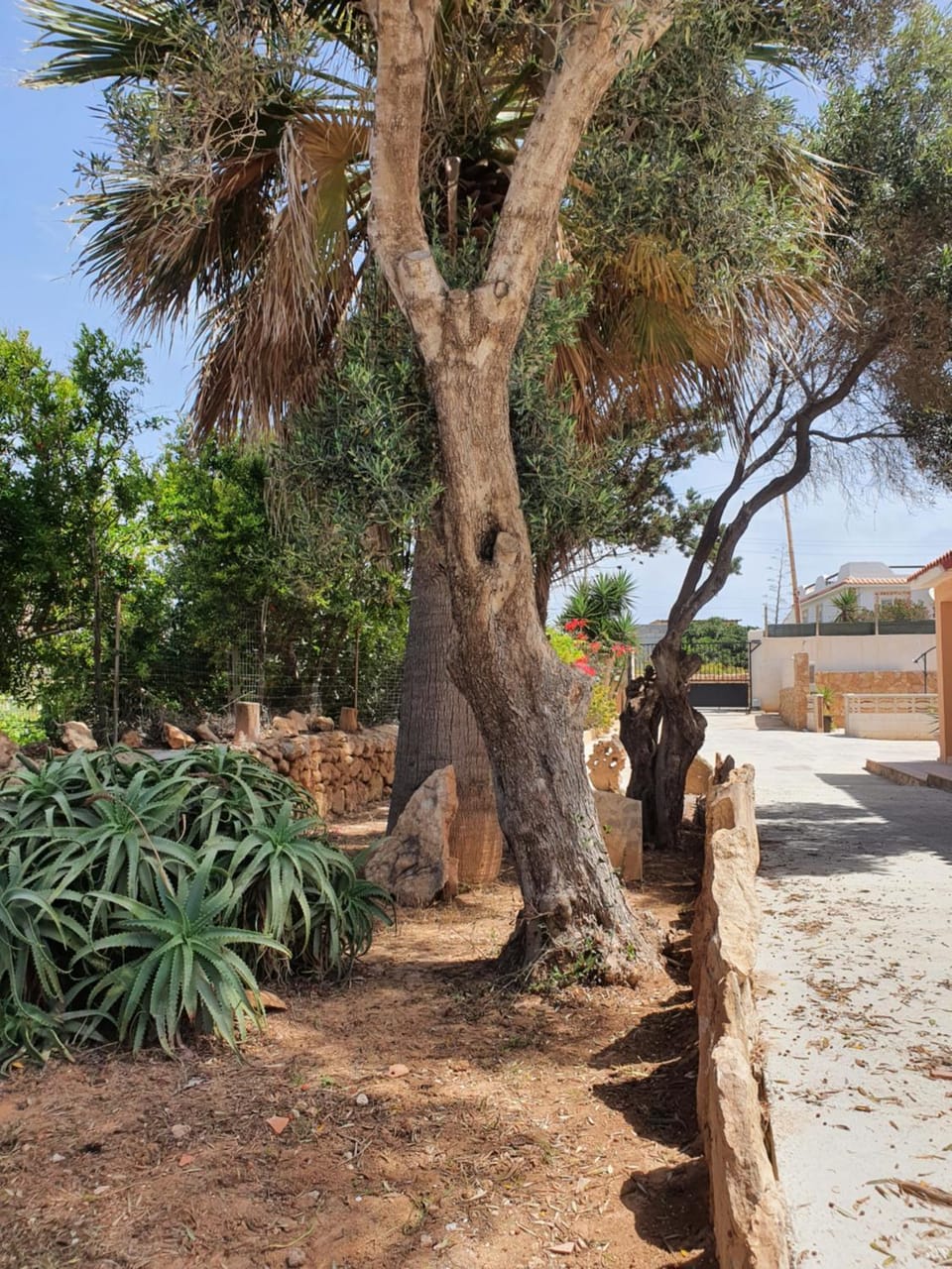 Villa Migliore House in Sicily