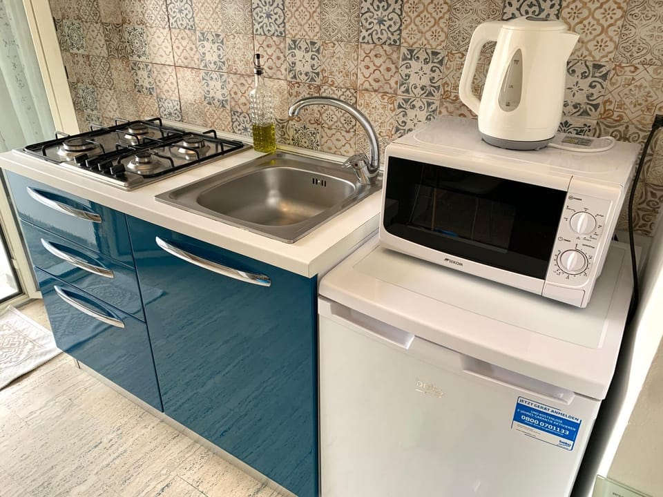 Kitchen or kitchenette, minibar, stove