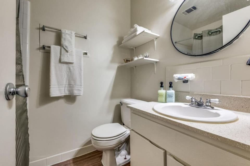 Austin Central Modern Comfort Pet-Friendly Apartment in Austin